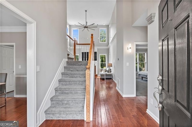 foyer entrance featuring a high ceiling, dark hardwood / wood-style flooring, ceiling fan, and ornamental molding