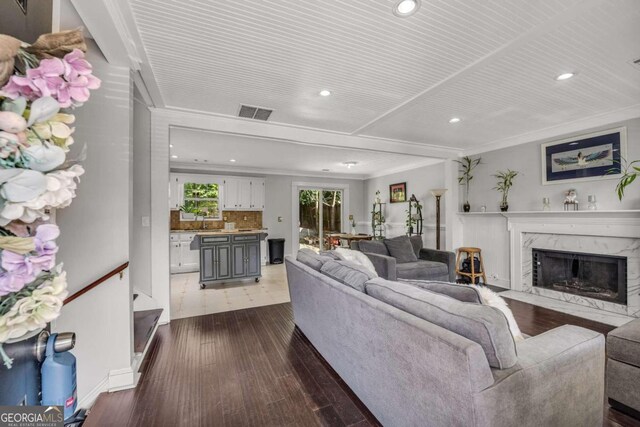 living room featuring a premium fireplace, ornamental molding, sink, and dark wood-type flooring