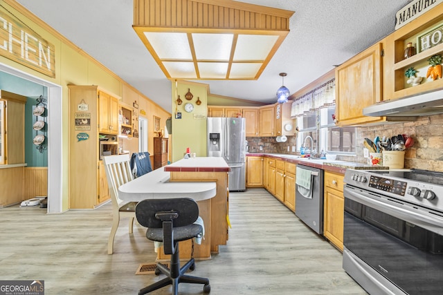 kitchen with appliances with stainless steel finishes, hanging light fixtures, light hardwood / wood-style floors, and vaulted ceiling