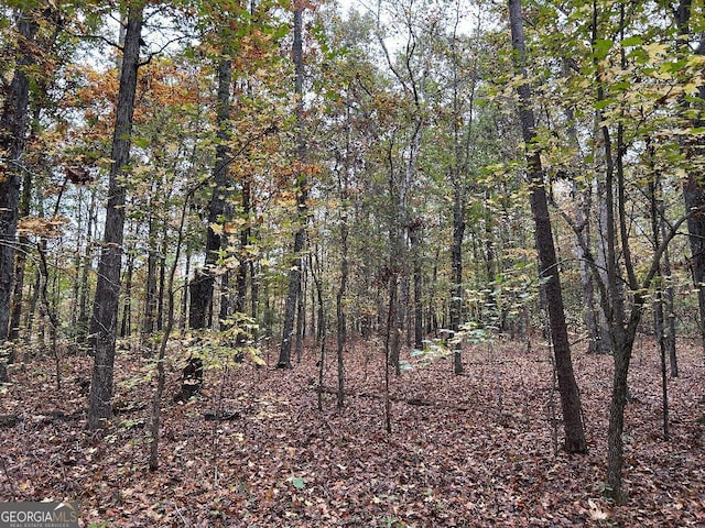 0 Manning Lake Rd, Rome GA, 30165 land for sale