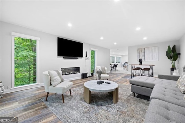 living room with hardwood / wood-style floors