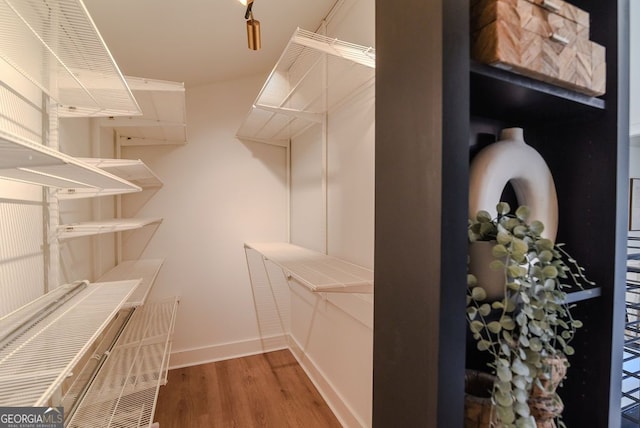 spacious closet featuring hardwood / wood-style flooring