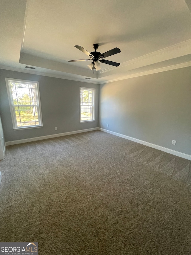 empty room with a wealth of natural light, carpet floors, and a raised ceiling