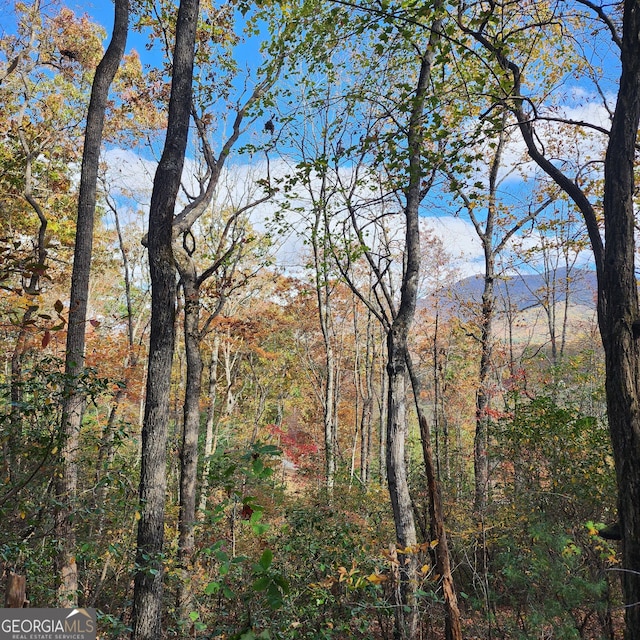 Listing photo 2 for LOT10 Enchantment Way, Hiawassee GA 30546