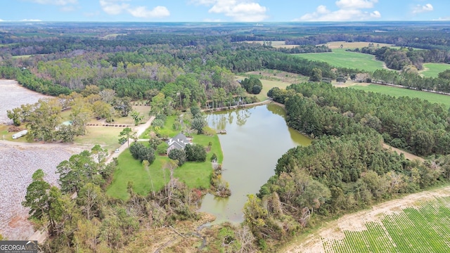 drone / aerial view with a water view and a rural view