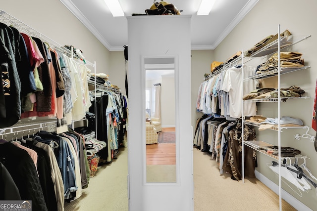 walk in closet with carpet