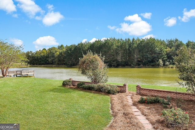 view of yard with a water view