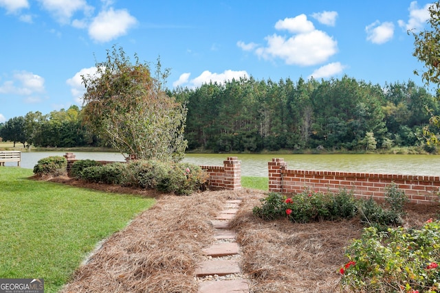 view of yard featuring a water view