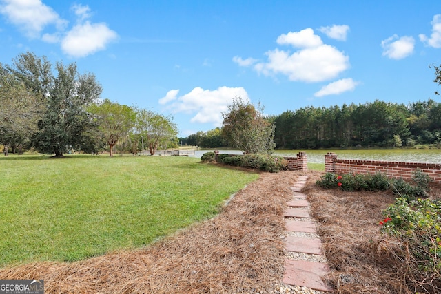 view of yard featuring a water view and a rural view