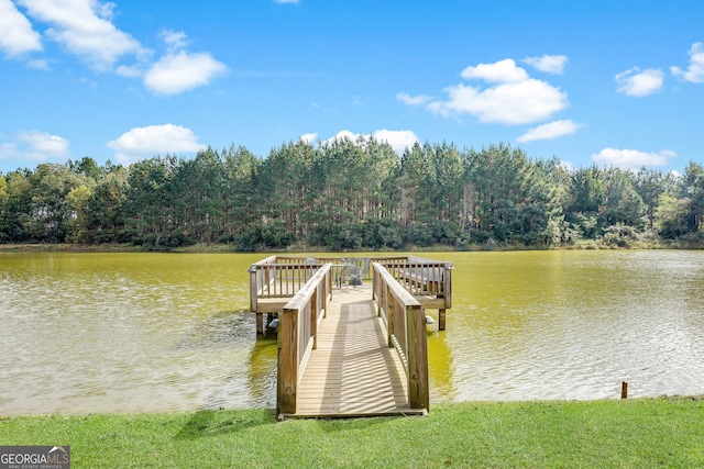 dock area with a water view