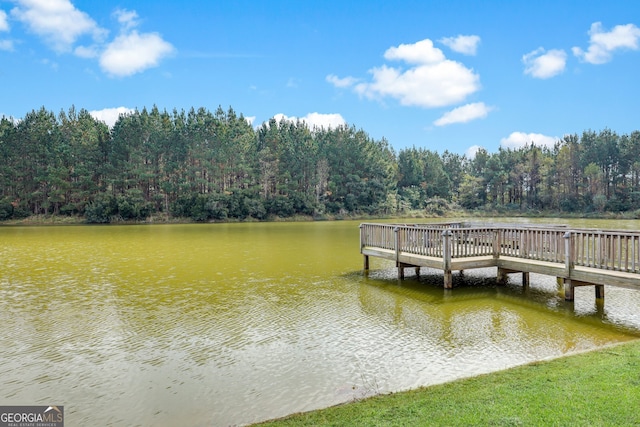 dock area featuring a water view