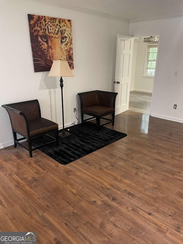 living area featuring dark hardwood / wood-style flooring