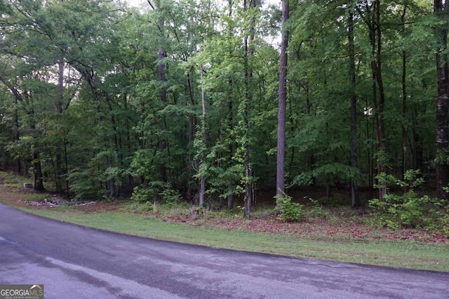 Listing photo 2 for 1050 Anchor Bay Cir, Greensboro GA 30642