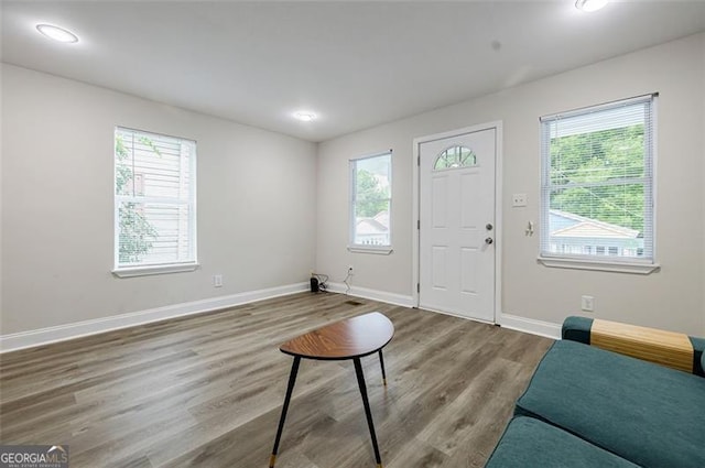 foyer featuring hardwood / wood-style flooring and plenty of natural light