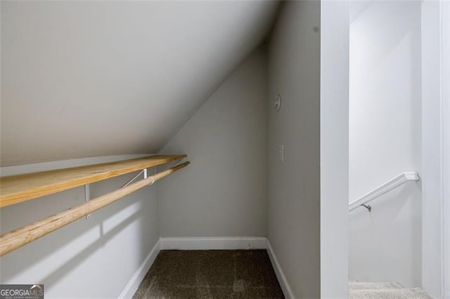 spacious closet featuring lofted ceiling and carpet