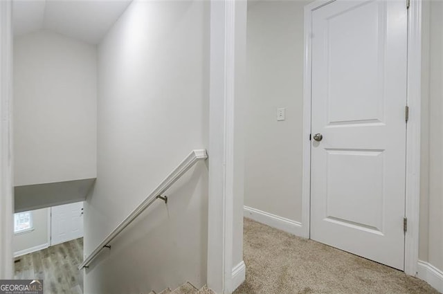 stairway featuring carpet floors and vaulted ceiling