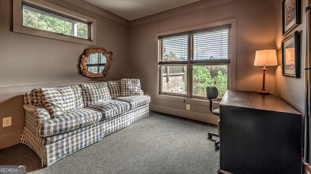 carpeted office featuring a wealth of natural light