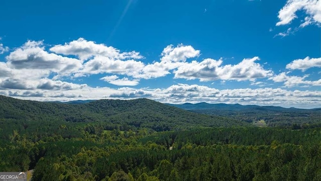 property view of mountains