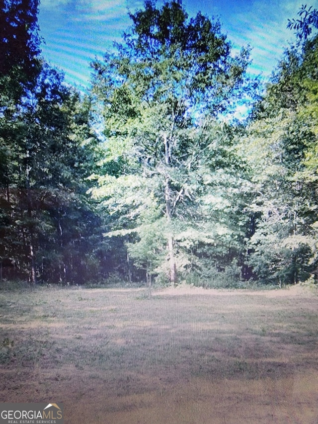 234 Arrowhead, Danielsville GA, 30633 land for sale