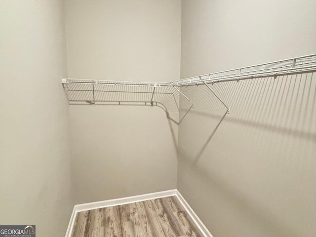 spacious closet with hardwood / wood-style floors