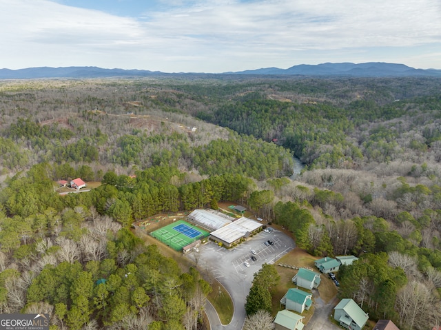 drone / aerial view with a mountain view