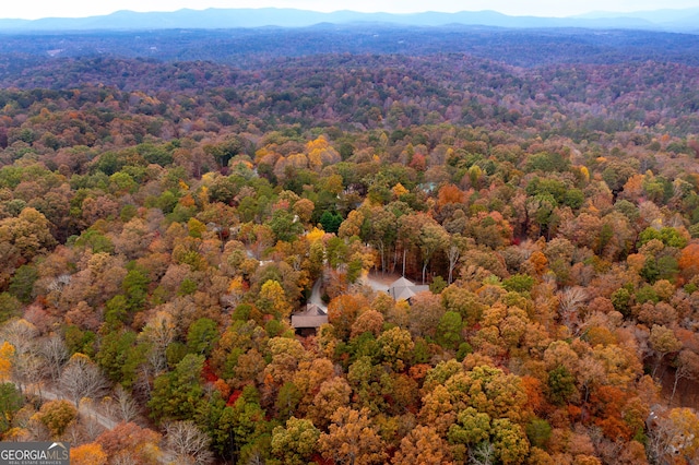 birds eye view of property featuring a mountain view