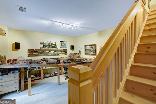 interior space with light carpet and track lighting