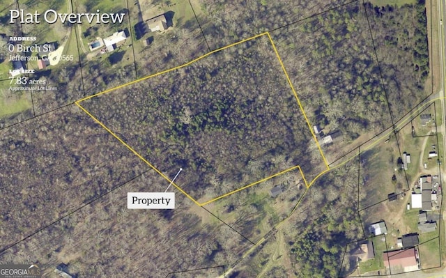 0 Birch St, Nicholson GA, 30565 land for sale