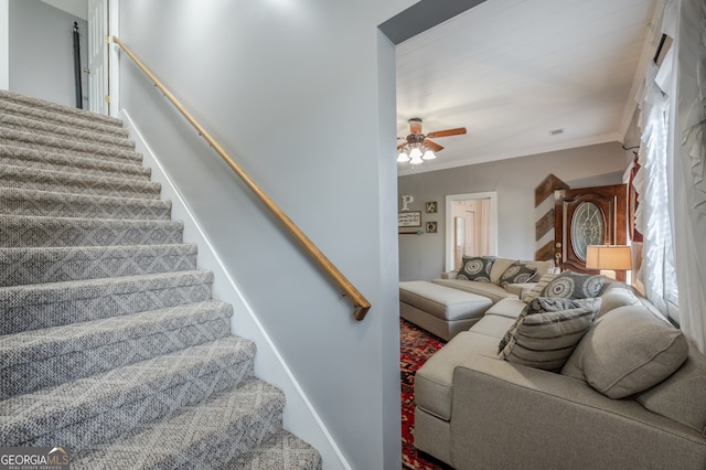 stairway featuring ornamental molding, carpet, and ceiling fan