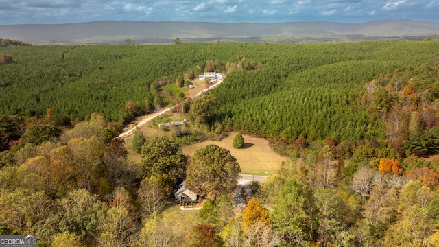 drone / aerial view with a mountain view