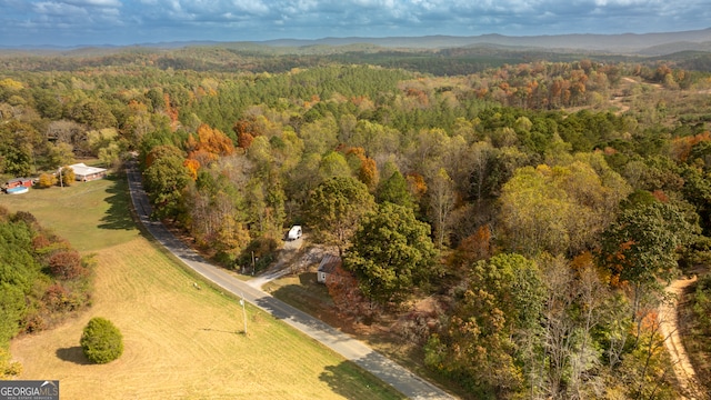 birds eye view of property featuring a mountain view