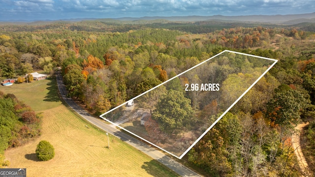 birds eye view of property with a mountain view