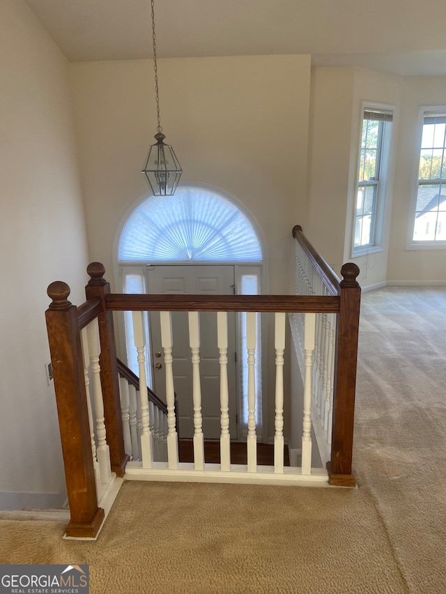 stairway with carpet floors