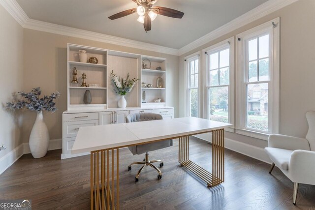 office space with crown molding, ceiling fan, and dark hardwood / wood-style flooring