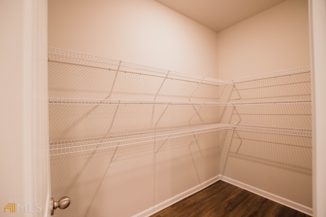 spacious closet with wood-type flooring