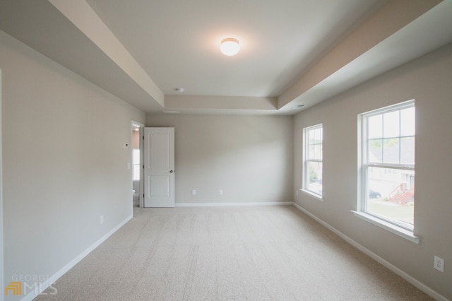 spare room with light carpet and a tray ceiling