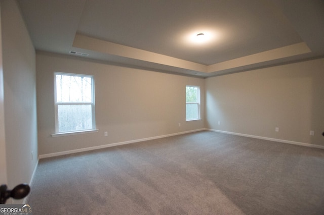 unfurnished room with carpet floors, a tray ceiling, and a wealth of natural light