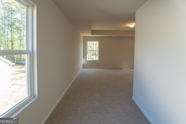 470 River Run Dr Unit 63, Dallas, GA 30132 - hall featuring carpet and baseboards