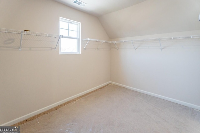 470 River Run Dr Unit 63, Dallas, GA 30132 - spacious closet featuring lofted ceiling and carpet floors