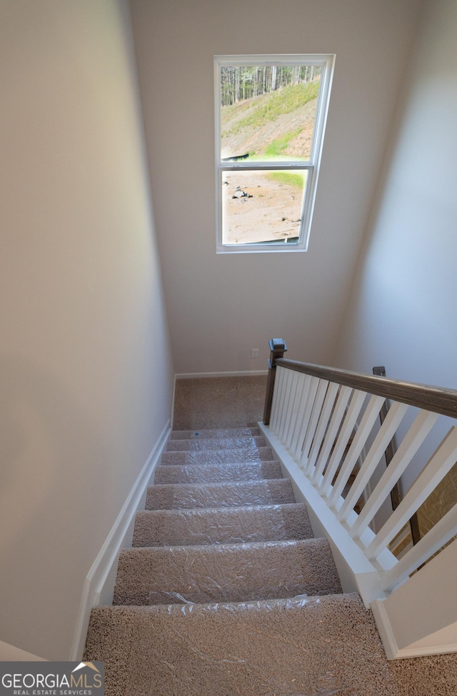 530 River Run Dr Unit 58, Dallas, GA 30132 - stairs featuring carpet floors and baseboards