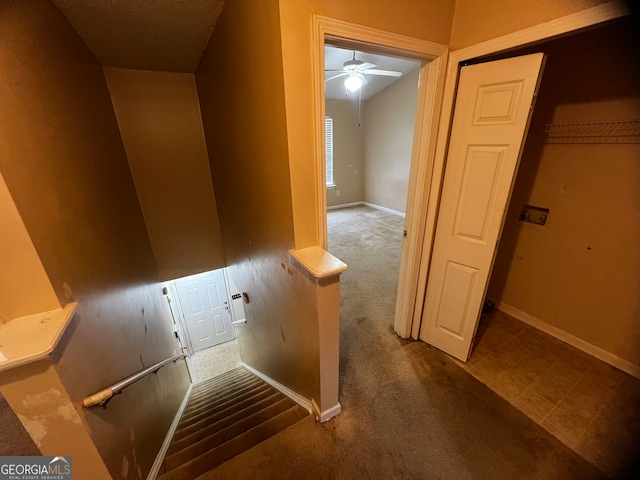 stairway featuring carpet floors and ceiling fan