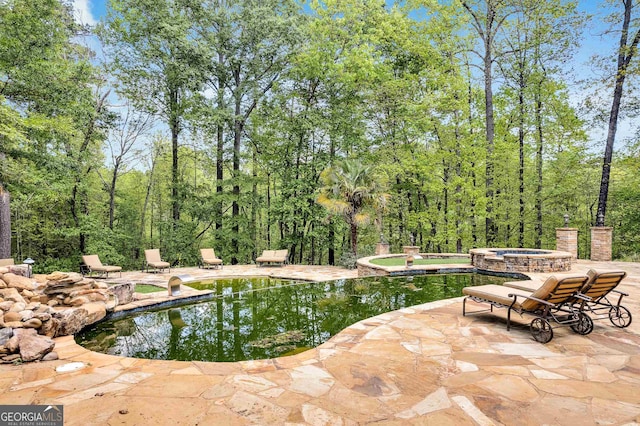 view of swimming pool with an in ground hot tub and a patio