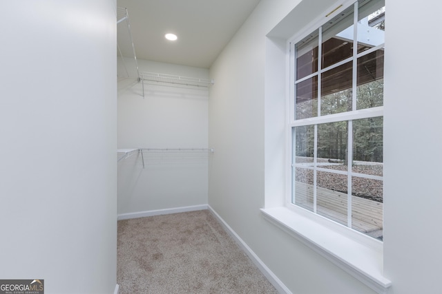 walk in closet with light carpet