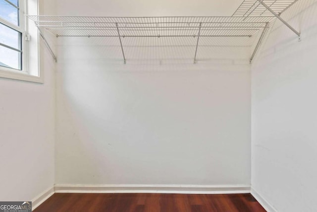 walk in closet featuring dark hardwood / wood-style flooring