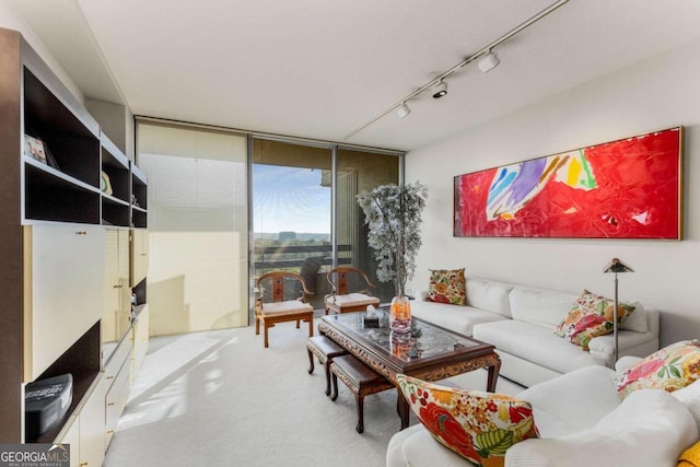 living room featuring track lighting and floor to ceiling windows