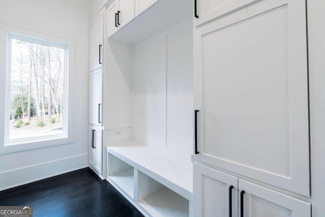 mudroom featuring dark hardwood / wood-style flooring and plenty of natural light