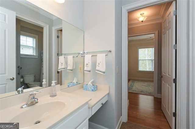 bathroom with toilet, crown molding, a healthy amount of sunlight, and vanity