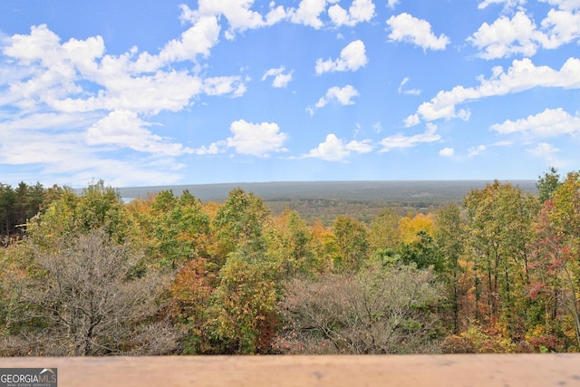 view of local wilderness