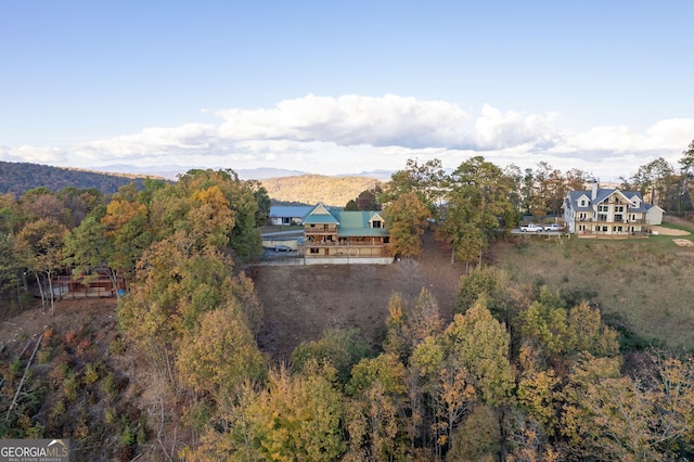 birds eye view of property featuring a mountain view