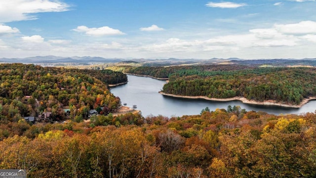 drone / aerial view with a water and mountain view